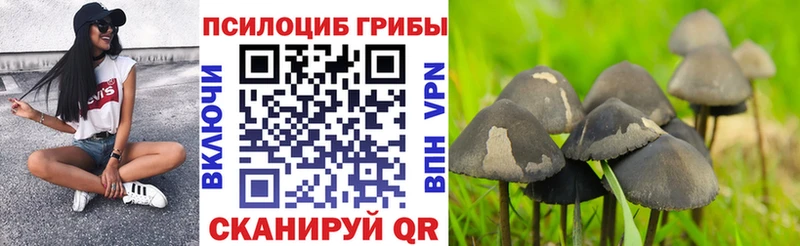 купить закладку  mega вход  Галлюциногенные грибы Psilocybine cubensis  Нижнекамск 